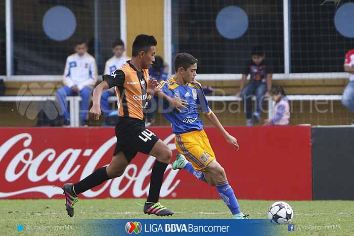 ClubTigresFB's tweet photo. #Sub13MX @TigresOficial derrotó 2-0 al Atlante con goles de Diego Sanmiguel y Miguel Loredo en la Jornada 1 https://t.co/mTogQW6QTt