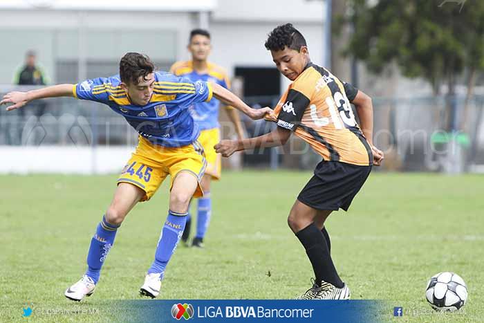 ClubTigresFB's tweet photo. #Sub13MX @TigresOficial derrotó 2-0 al Atlante con goles de Diego Sanmiguel y Miguel Loredo en la Jornada 1 https://t.co/mTogQW6QTt