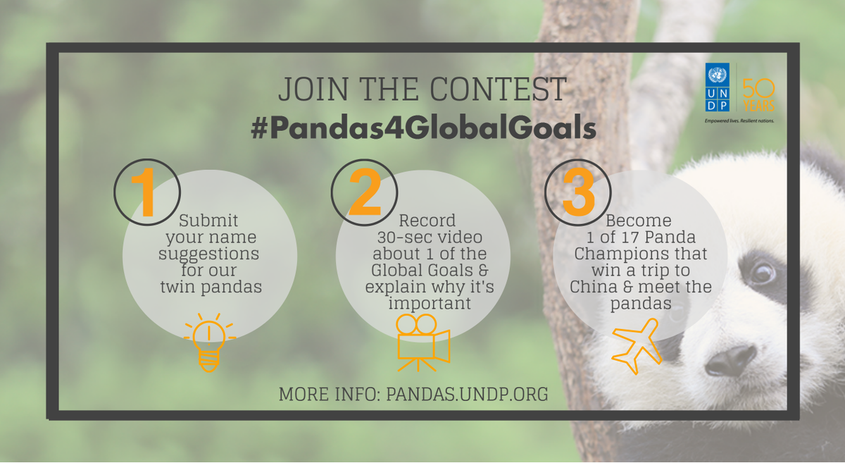 UNDP's tweet photo. 2 names. 1 video. 17 #PandaChampions win a trip to #China. Enter now: https://t.co/jdnXZS4OH7 #Pandas4GlobalGoals https://t.co/R2lEphP5M4
