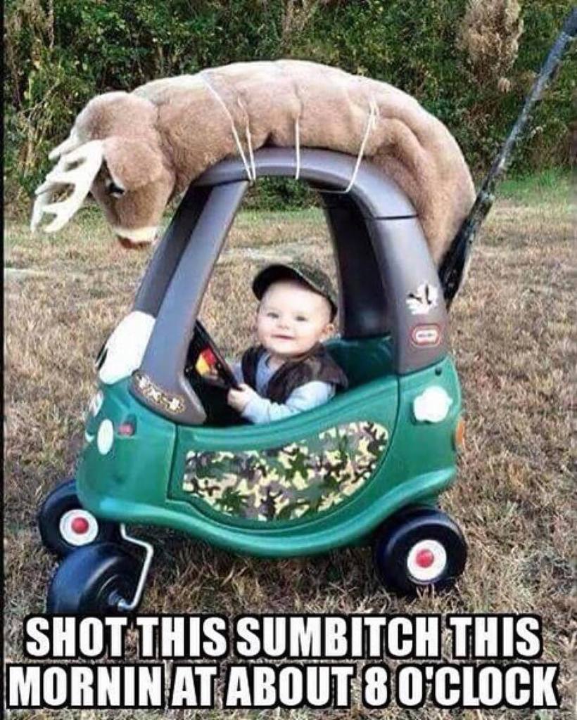 MESportsman's tweet photo. This little guy has the right idea!!! #deerhunting #deerseason #hunting https://t.co/iT9XSHxzeX