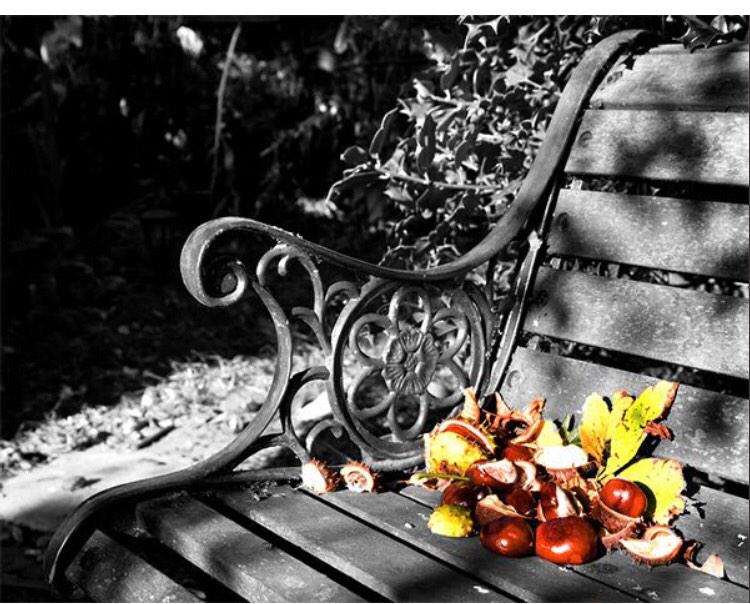 끊고
맺음을 잘 해야 삶이 평탄하다

정에 이끌려
마음이 연약해서

힘든 일을 끌고가고
안인 인연을 이여가다 보면

삶은 더욱 황폐해지게 된다

더 좋은 열매를 얻기위해는
삶의 가지치기를 잘 해야한다