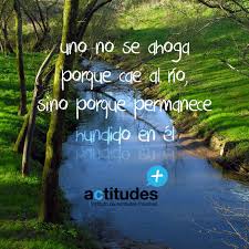 Daniela03148591's tweet photo. #valoresEBC @ALEXCARPIZO @lisavarela @ElninoAvioneta https://t.co/luZpWWMEb5