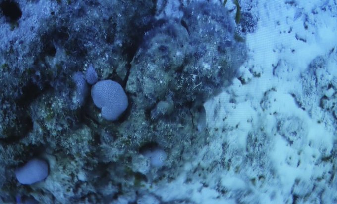 Earth's Deepest Blue hole spotted in China