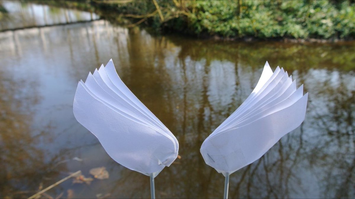 Het is zover- vandaag gaan we beginnen en zij we open voor bezoekers!