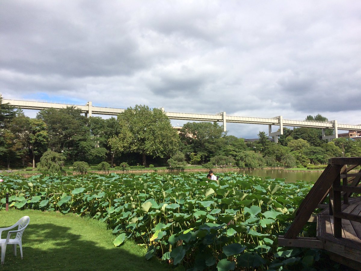 熊谷俊人 千葉県知事 子どもたちと千葉公園を散歩しているのですが ポケモンgoをプレイしているらしき人が周りじゅうに居て驚きます
