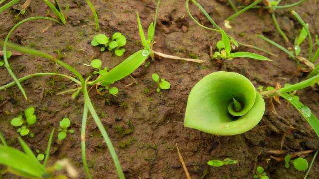 pradnya_nimo's tweet photo. #lohgad trekking
#inlovenature https://t.co/cR4VwituIm
