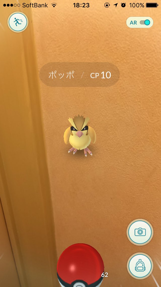 ex_shou's tweet photo. ポケモンGOしすぎて忘れてたけど12時なったら誕生日です(´･Д･)」（笑） https://t.co/p9xltUwEIs