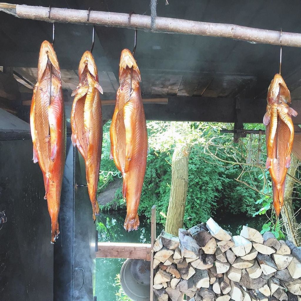 visityDE's tweet photo. Zum Ausflug gehört geräucherte Forelle #mjam #fish #draussen #visity https://t.co/yQqkSppEzw