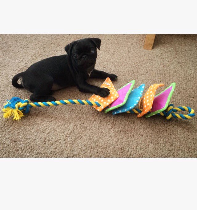 Emma Romasanta (@EmsRoms) | Twitter