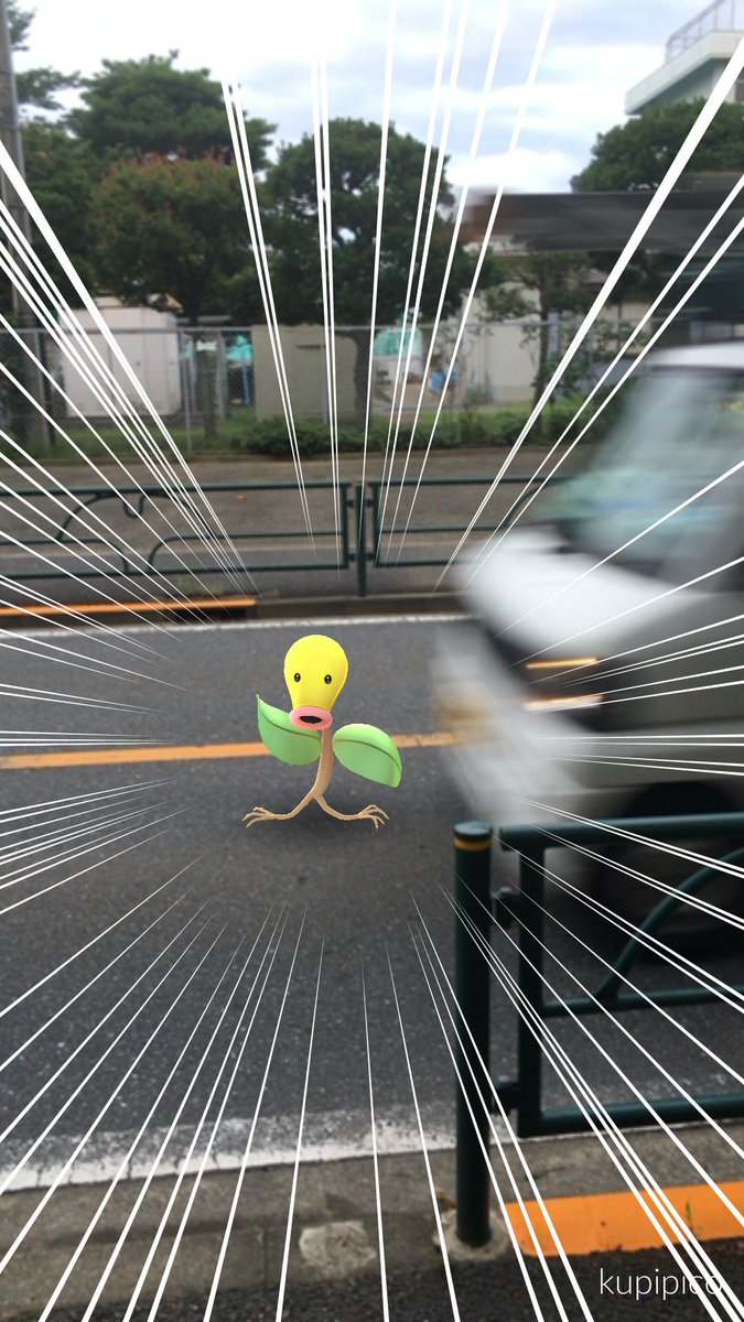 Kupi On Twitter マダツボミー 逃げてー ポケモンもニンゲンも 交通事故に気をつけて ポケモンgo マダツボミ