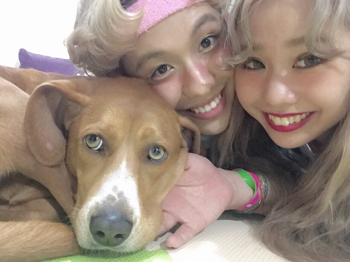 RYUZi33WORLD929's tweet photo. 今夜19時から放送の日本テレビ「天才！志村どうぶつ園SP」前回の続きで出演させていただきますうううう〜〜🌈🎀💨💨
今日から僕たちとサリーの生活がスタート💒🙏🏾✨✨
皆さまぜひぜひご覧あそばせ〜〜😻💖💜ぷぷぷぷぷ！！ https://t.co/9vOLwnPPZa