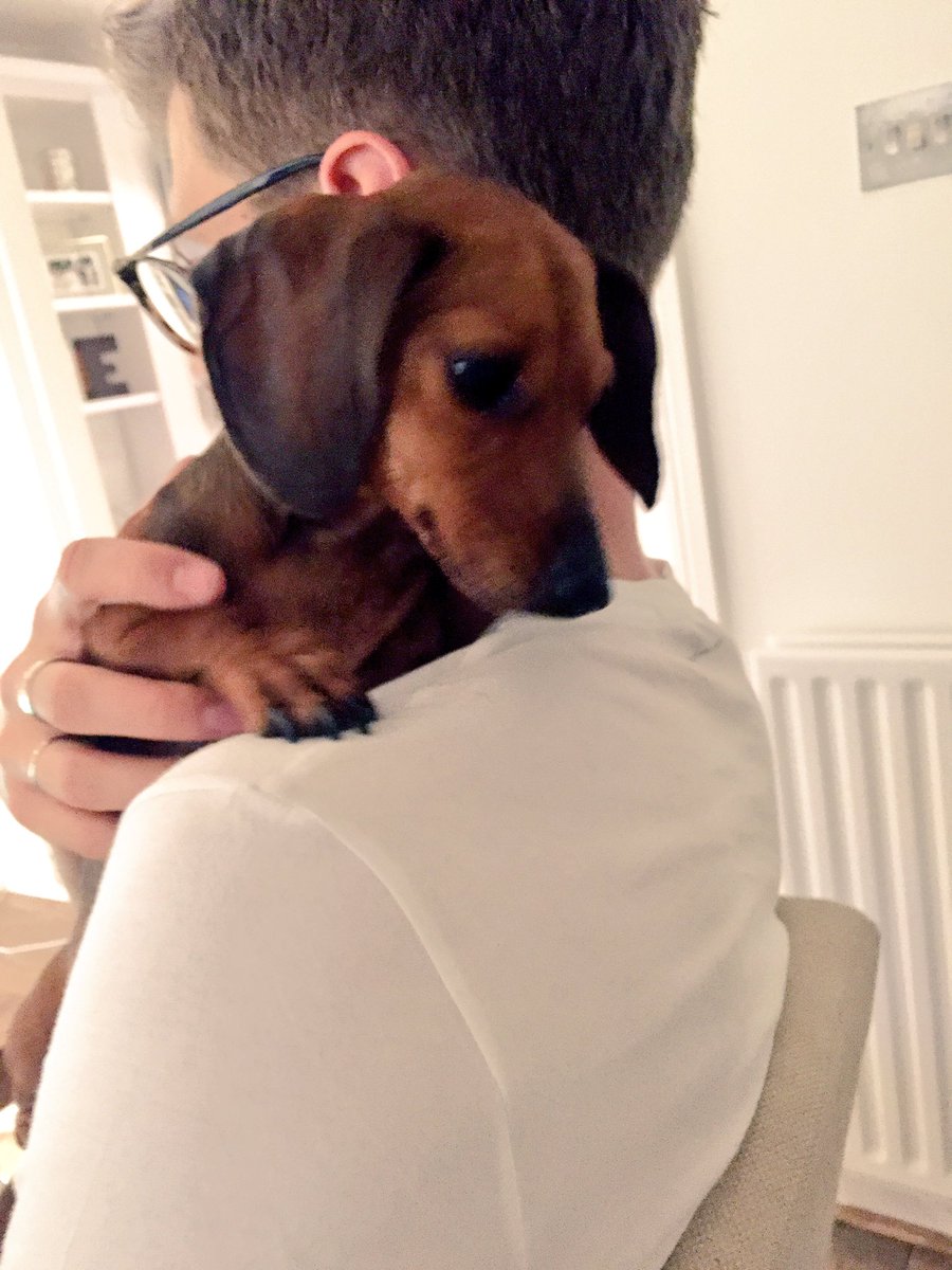 JimChapman's tweet photo. 🐶 cuddles https://t.co/WLLxiCaKDl