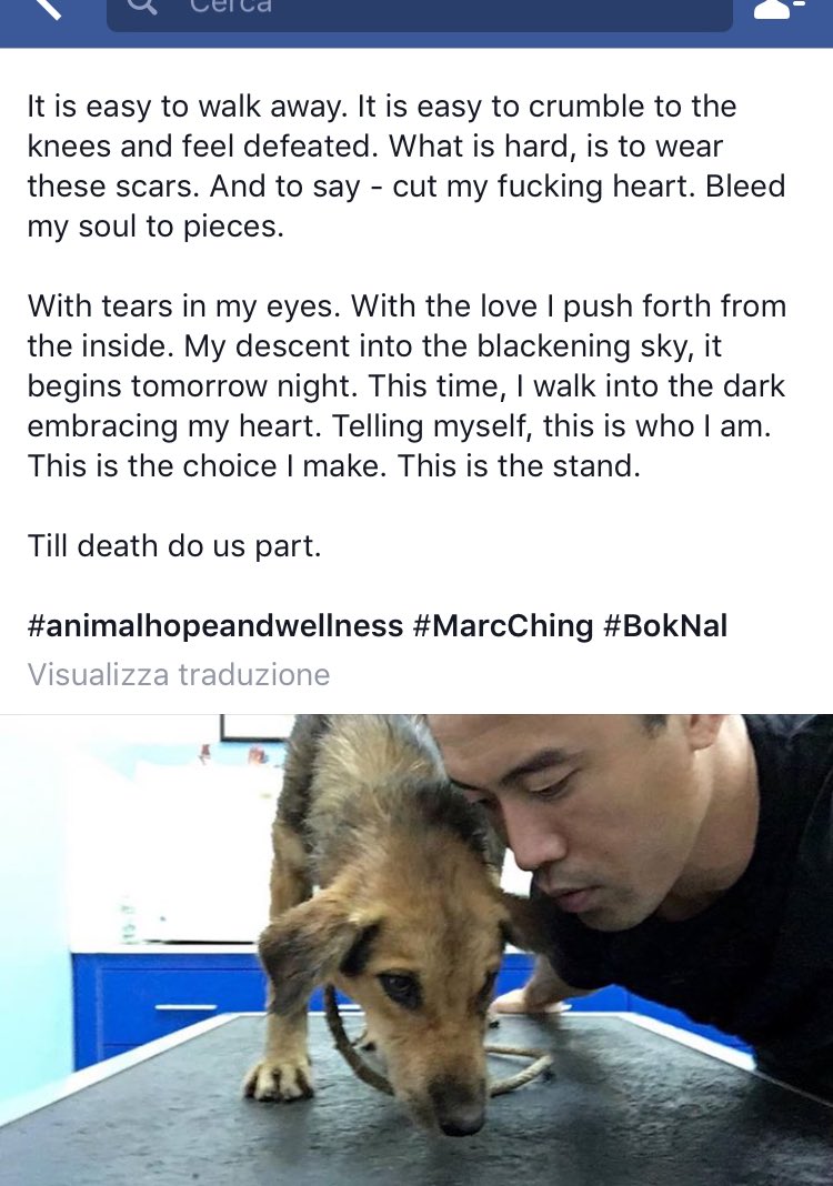 Hopeesperanz's tweet photo. UpdateVIA @AHWFoundation #MarchChing will go to SouthKorea 🙏🏻 #BokNal
#TheCompassionProject https://t.co/tZMObhhqDY https://t.co/1XF14ciPmD