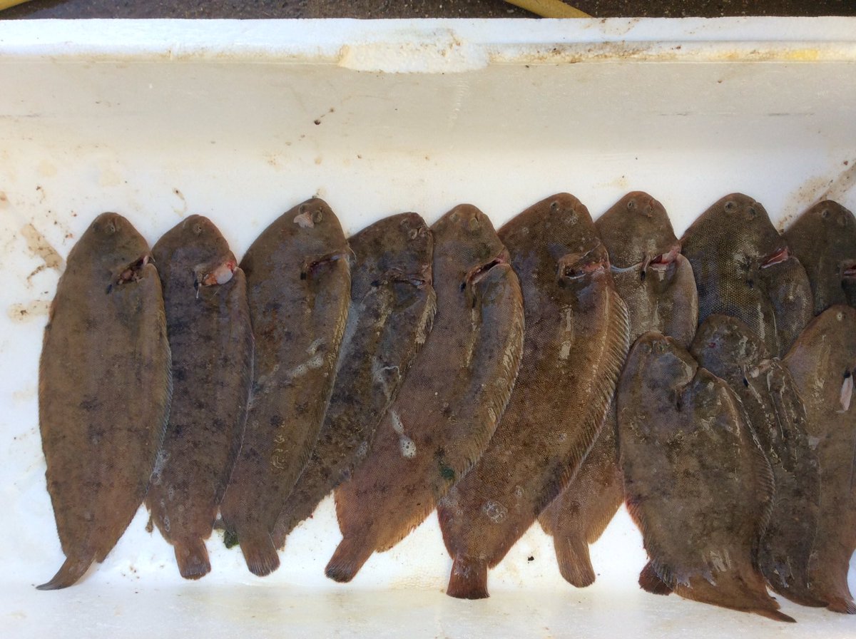 Simpers of Suffolk (@simpersosuffolk) on Twitter photo 