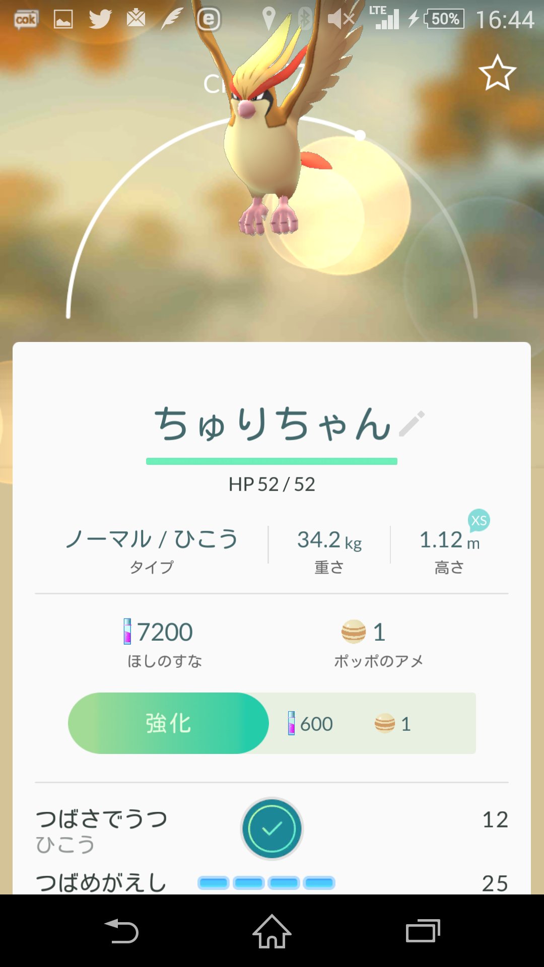 ききょう A Twitter ポッポからピジョン ピジョンからピジョットに進化させた 高さxs ポッポのときは重さもxsだった の個体を選んだところがこだわり ポケモンgo 高柳明音 ちゅり T Co Lv3henog25 Twitter