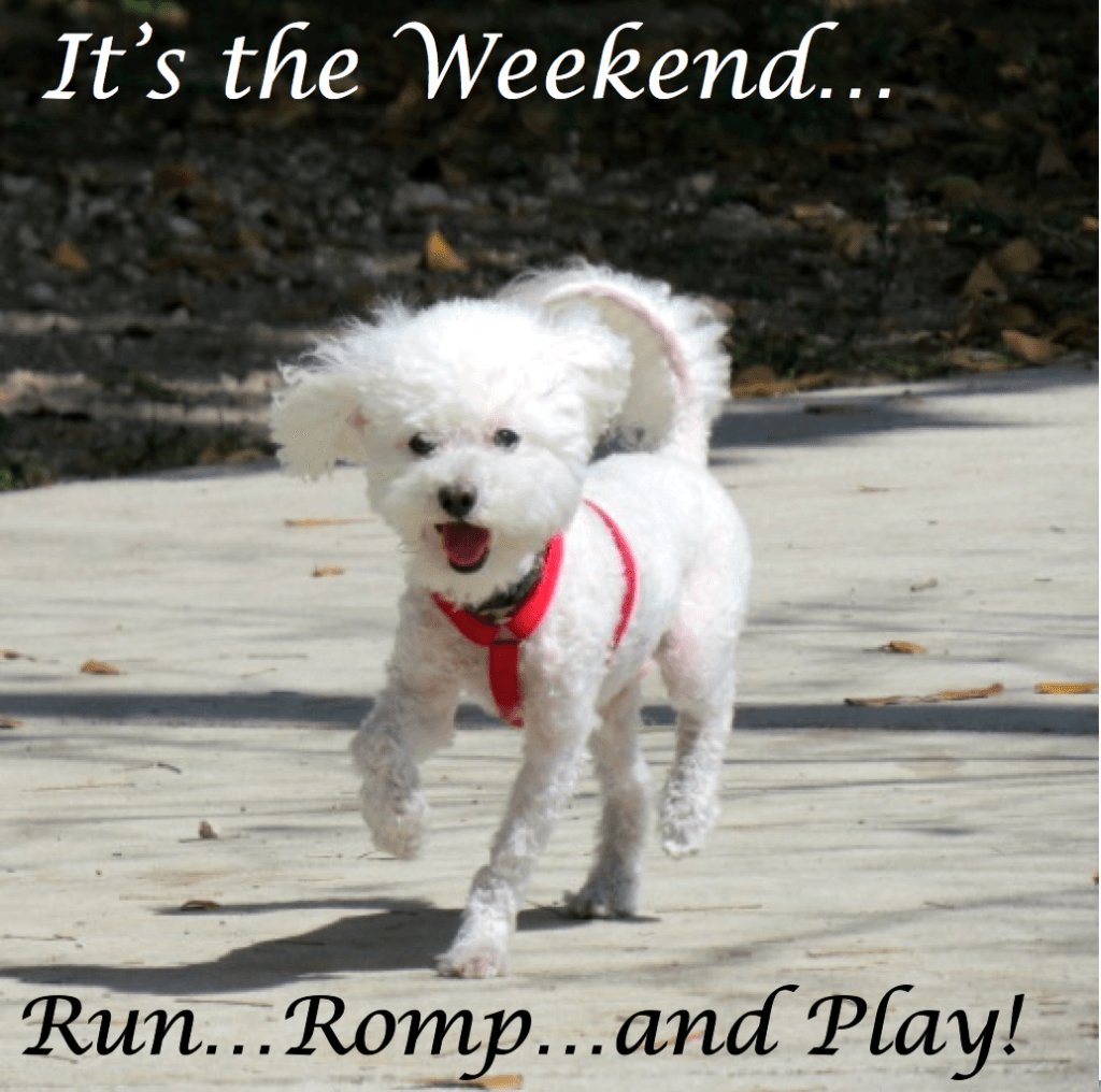 DeborahValledor's tweet photo. It’s the Weekend… https://t.co/RXlBDBIQ2M https://t.co/9q9fBxK4VJ