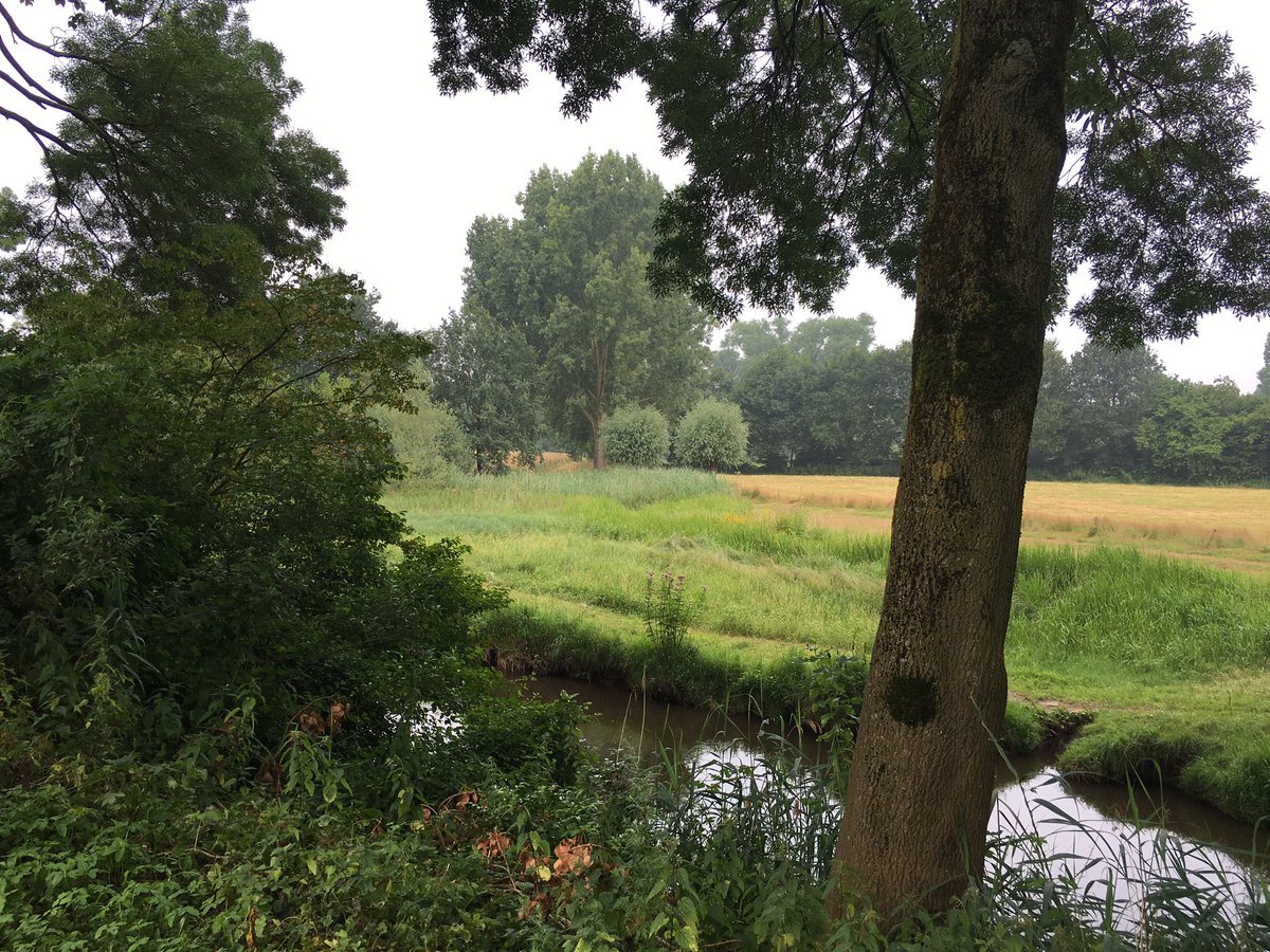 Luc Van der Keilen tweet media