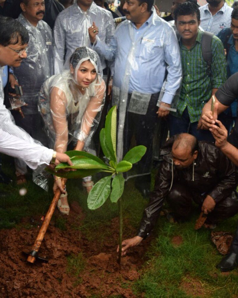 Tanishaa Mukerji FC tweet media