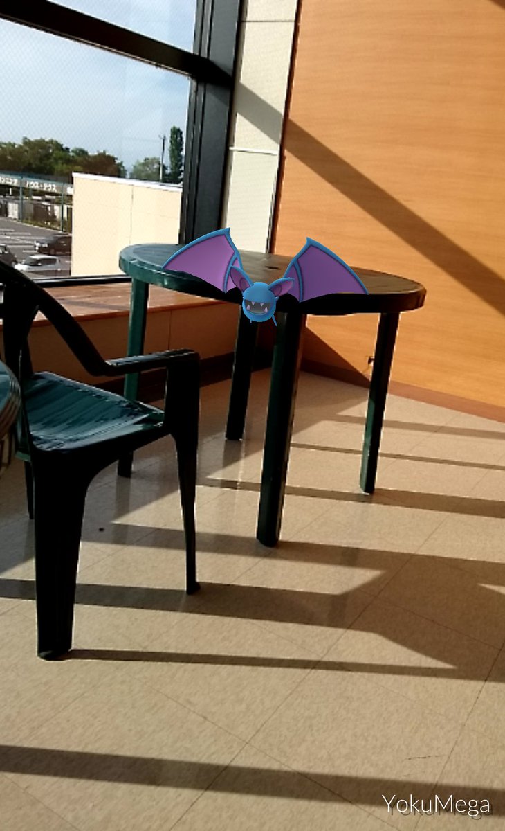 普段は暗い場所に生息しているズバットさんがショッピングモールにいた笑