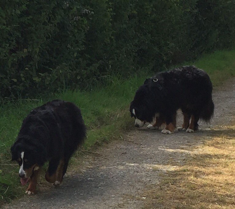 gillyjampots tweet media