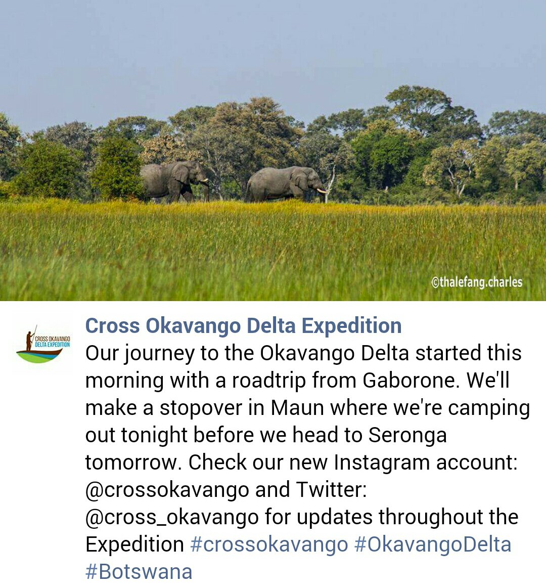 crossokavango's tweet photo. 🚌 The team is on the road @Thalefang @leshielovesong https://t.co/xP04HoIJmh