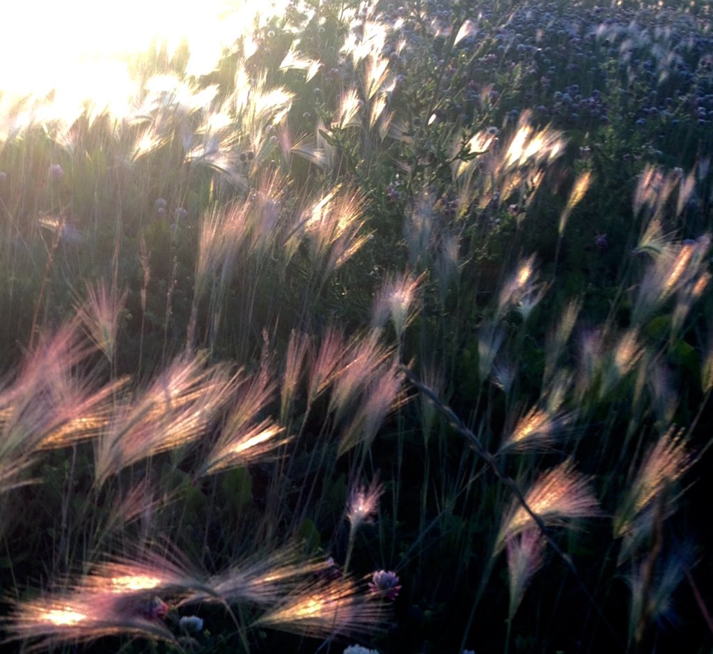 Brett Ellis (@tusketisles) on Twitter photo 