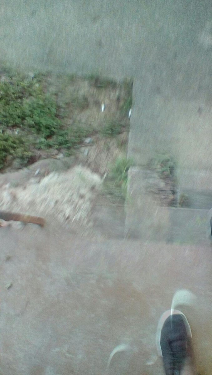 brandon bowles tweet media