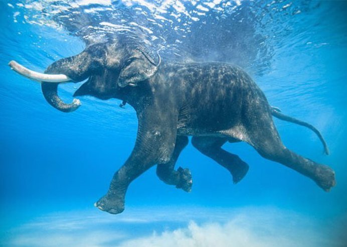 Beeftha's tweet image. #ModalitaVacanza 
#urlaub #modeon 🐘🌴🚢