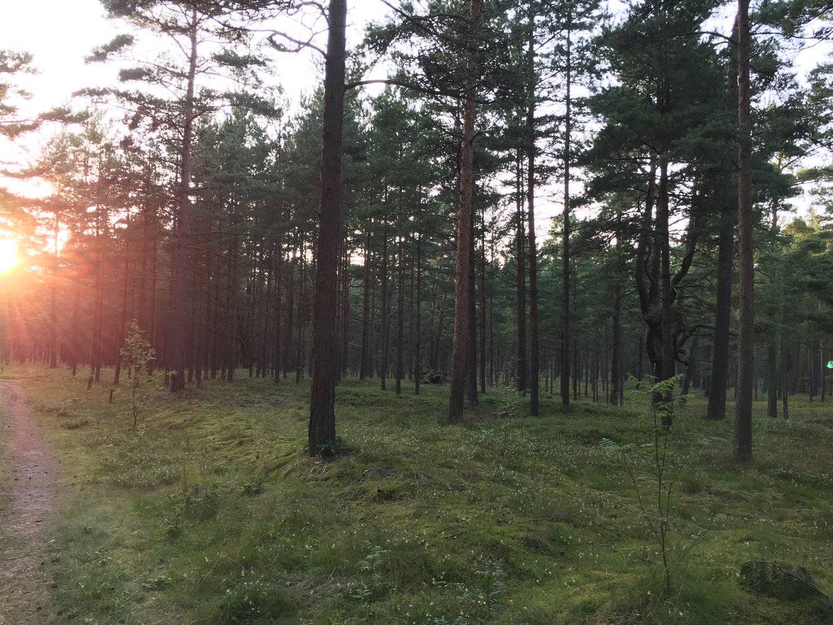 atemxyz's tweet image. Also, Lithuania's seaside is lovely 😍 #Nida #SummerAdventures