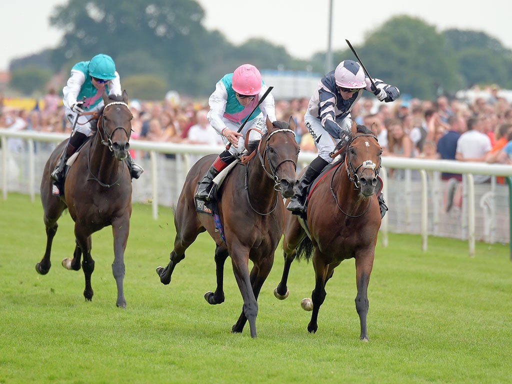 RacingPost tweet picture