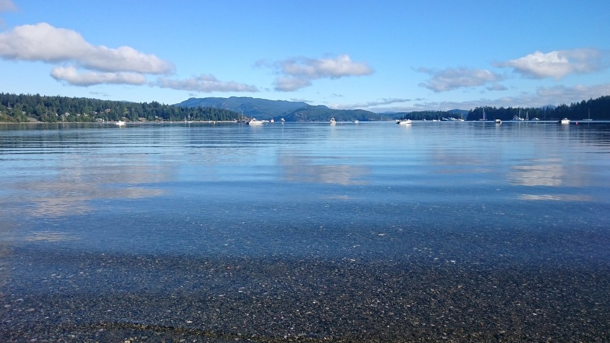 HilaryEastmure's tweet photo. Back on the @cfax1070 newsdesk after a few glorious days of camping on Quadra Island. @VisitQuadra #quadrarocks https://t.co/2iIHIHq6Fk