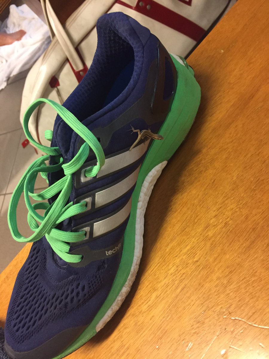 Filippo Baldi tweet media