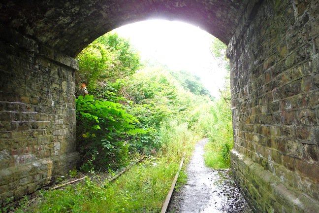 Toptaff's tweet photo. A walk along the forgotten railway...............again! https://t.co/vnGpvBWbsR
