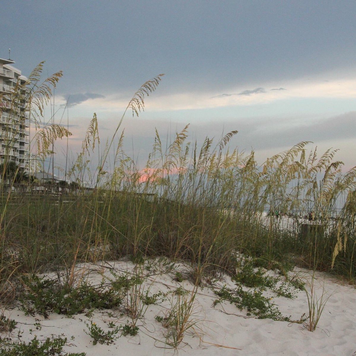Eastern sky at sunset on the beautiful #AlabamaGulfCoast.