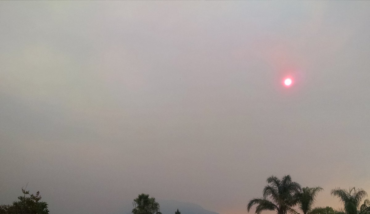 danettetrue's tweet photo. Sunrise in Sylmar, sun obscured by the #SandFire and #sangabrielcomplex fire continuing to burn through @Angeles_NF https://t.co/O8UxpX8CFV