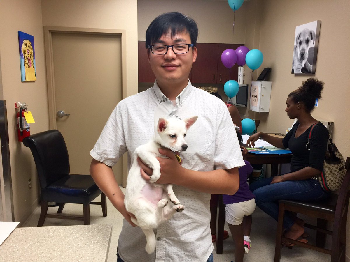 GrapevineTXCity's tweet photo. #ClearTheShelters is in full-swing in #GrapevineTX! Wag on over to 500 Shady Brook Dr. for a new forever friend! https://t.co/EhyCey8W4j