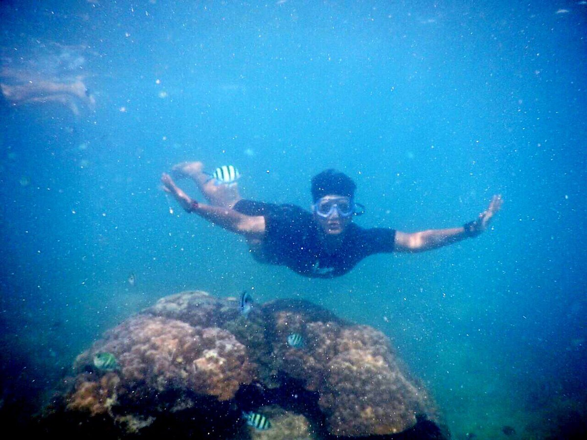 Achmad Sofyan (@acmadsofyan) on Twitter photo 