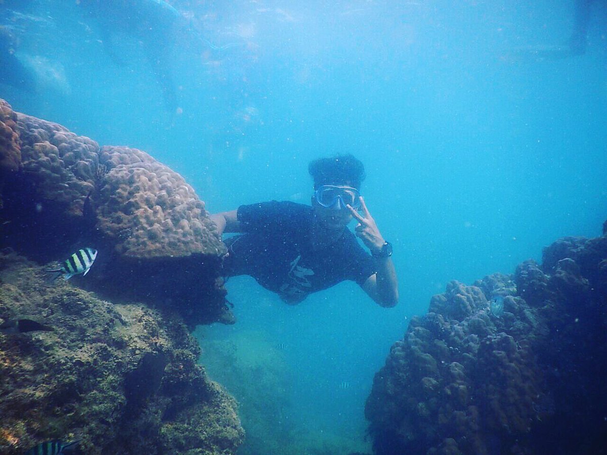 Achmad Sofyan (@acmadsofyan) on Twitter photo 