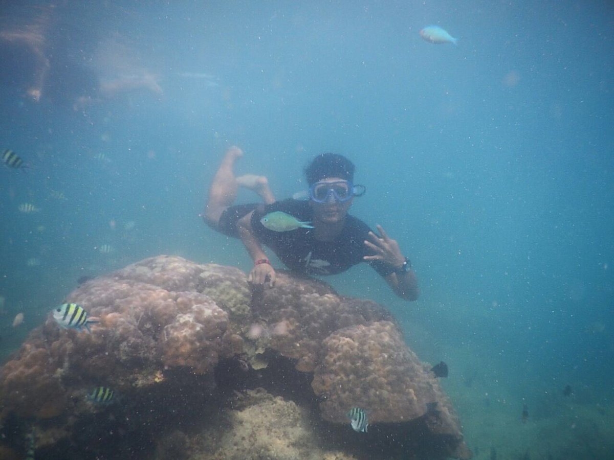 Achmad Sofyan (@acmadsofyan) on Twitter photo 