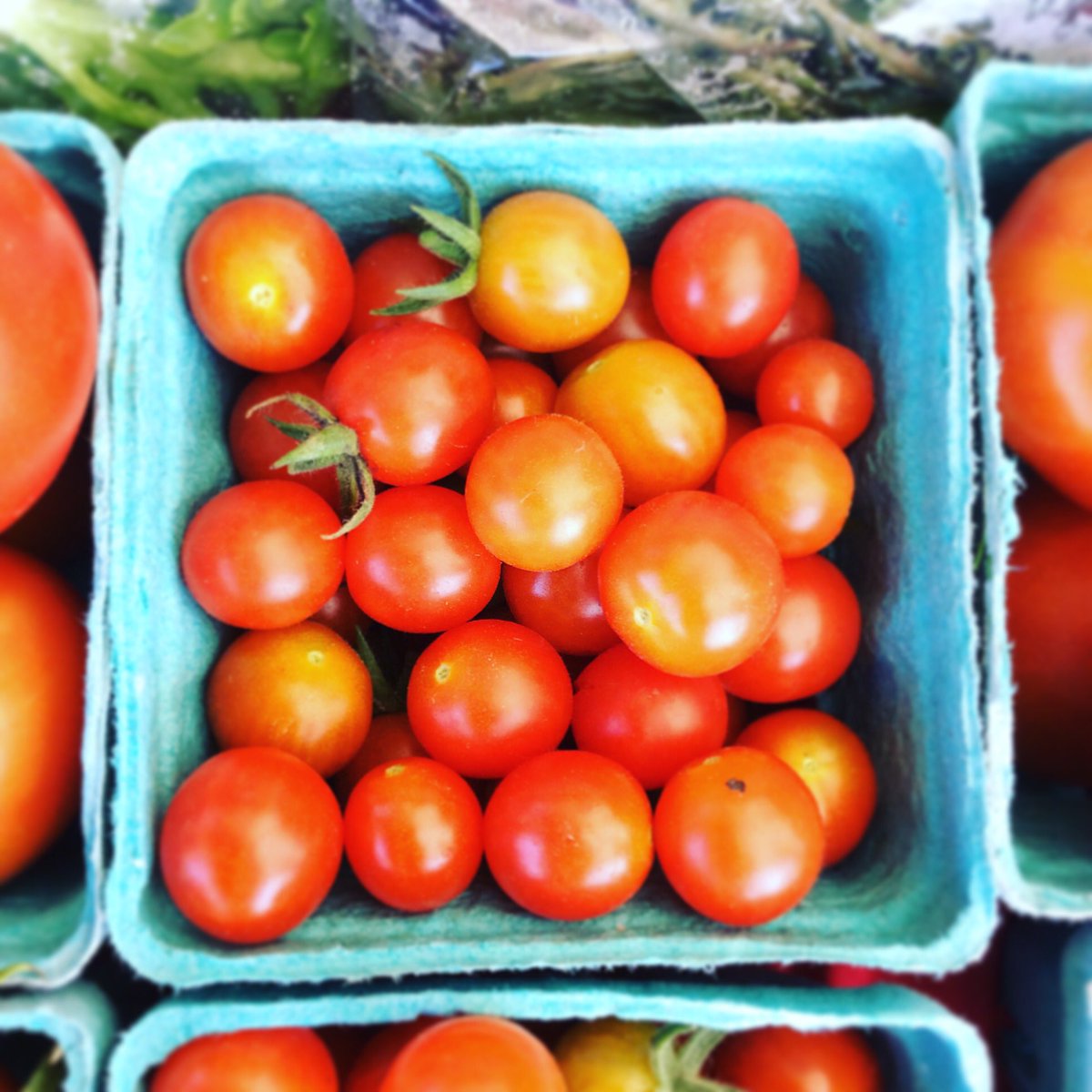 sjfmnl's tweet photo. Tomatoes at the SJFM. In July! 
Today from 9-2 at the Lions Club. https://t.co/23ORxffEqK