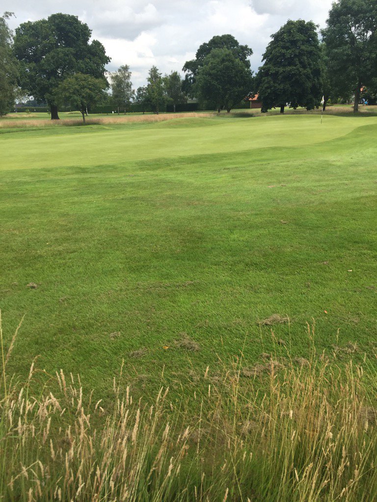 m_brooks_golf's tweet photo. Derwent Course @mandngc in great shape ready for our Ladies Comp #fullentry #greatmembers @followbackgolf https://t.co/DXYd8Q0a6Q