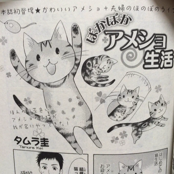 ♪宣伝です♫7月22日に発売された『ねこぷに ウチのねこ事情』でニャンコエッセイを掲載して頂いてます!(*^^*)よろしくお願いします✨ 