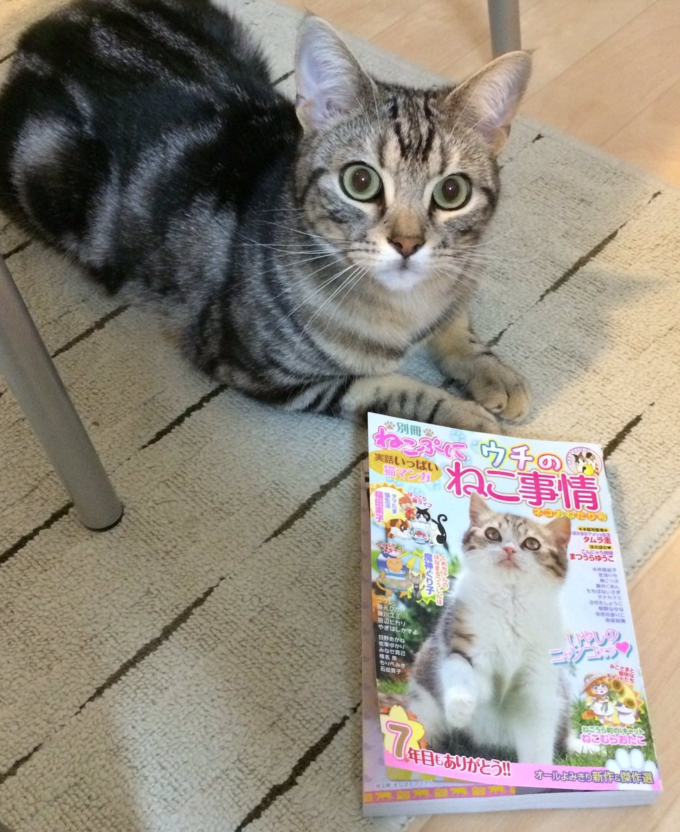 ♪宣伝です♫7月22日に発売された『ねこぷに ウチのねこ事情』でニャンコエッセイを掲載して頂いてます!(*^^*)よろしくお願いします✨ 