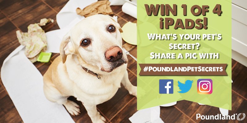 #WIN 1 of 4 iPads! Tweet a pic &amp; share your pet's secret with #PoundlandPetSecrets. poundland.co.uk/promotions/win…