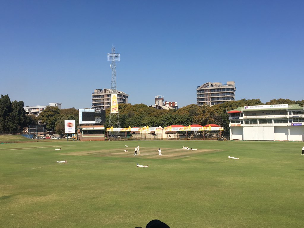 BLACKCAPS's tweet photo. And now we have a swarm of bees coming across the boundary #everybodydown except @MitchellSantner #3daywarmup https://t.co/BveIBSdwiy