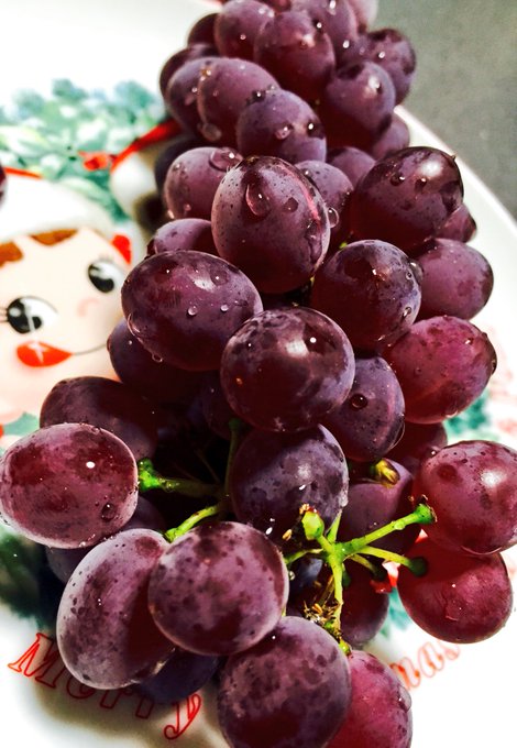 帰ってきてさっそく今日もらったブドウ食べてる🍇おいしい🍇 他にも梨とマンゴーもらった幸せ♡  もらったものあまり載せない(そもそもあんまりもらえない)けど、全部ちゃんと使ったり食べたりしてるよ😂笑 https://t