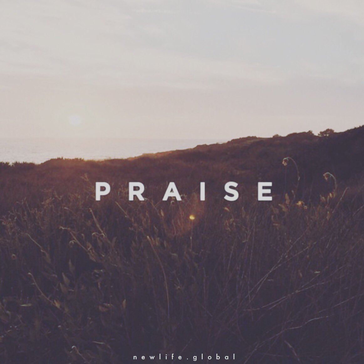 New Life Church tweet media