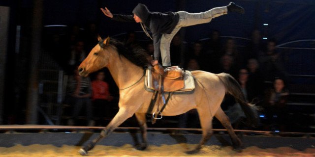 franceinfo_cult's tweet photo. EquiNote, une compagnie entre ciel et terre, actuellement en tournée #equiNote #cirque https://t.co/8RoMbxJZFH https://t.co/veiaJwlVnw