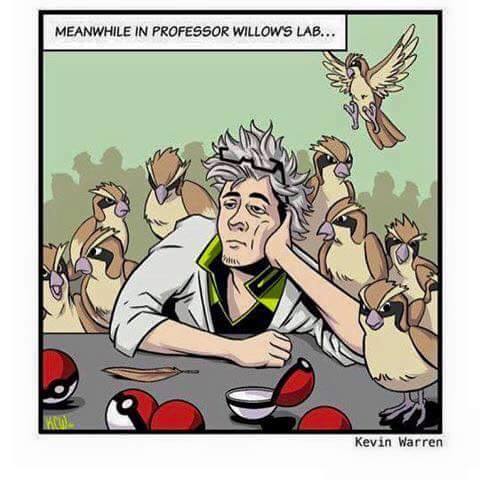 pokemaster_es tweet picture