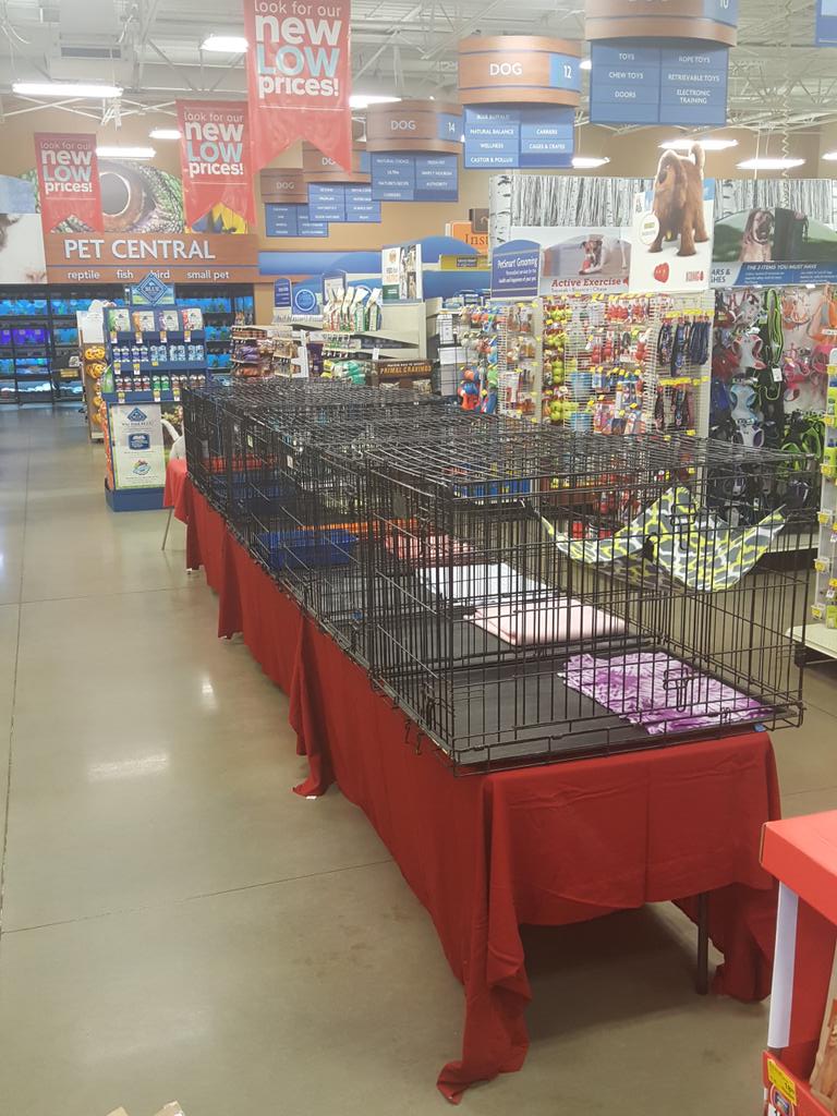 PetsmartLakeCity tweet media